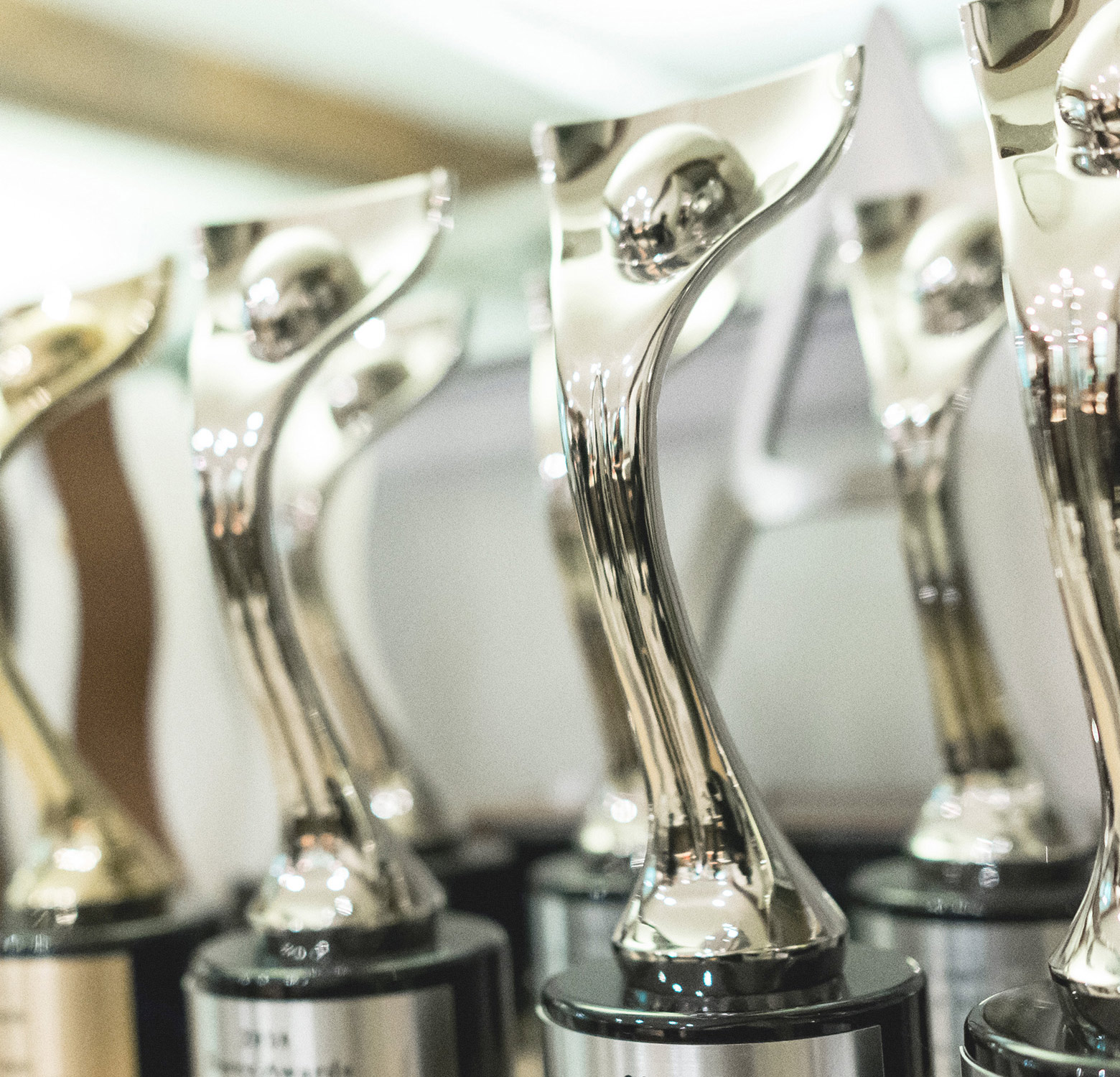 Trophées remportés par l'Agence Braque | Trophies won by the Braque Agency