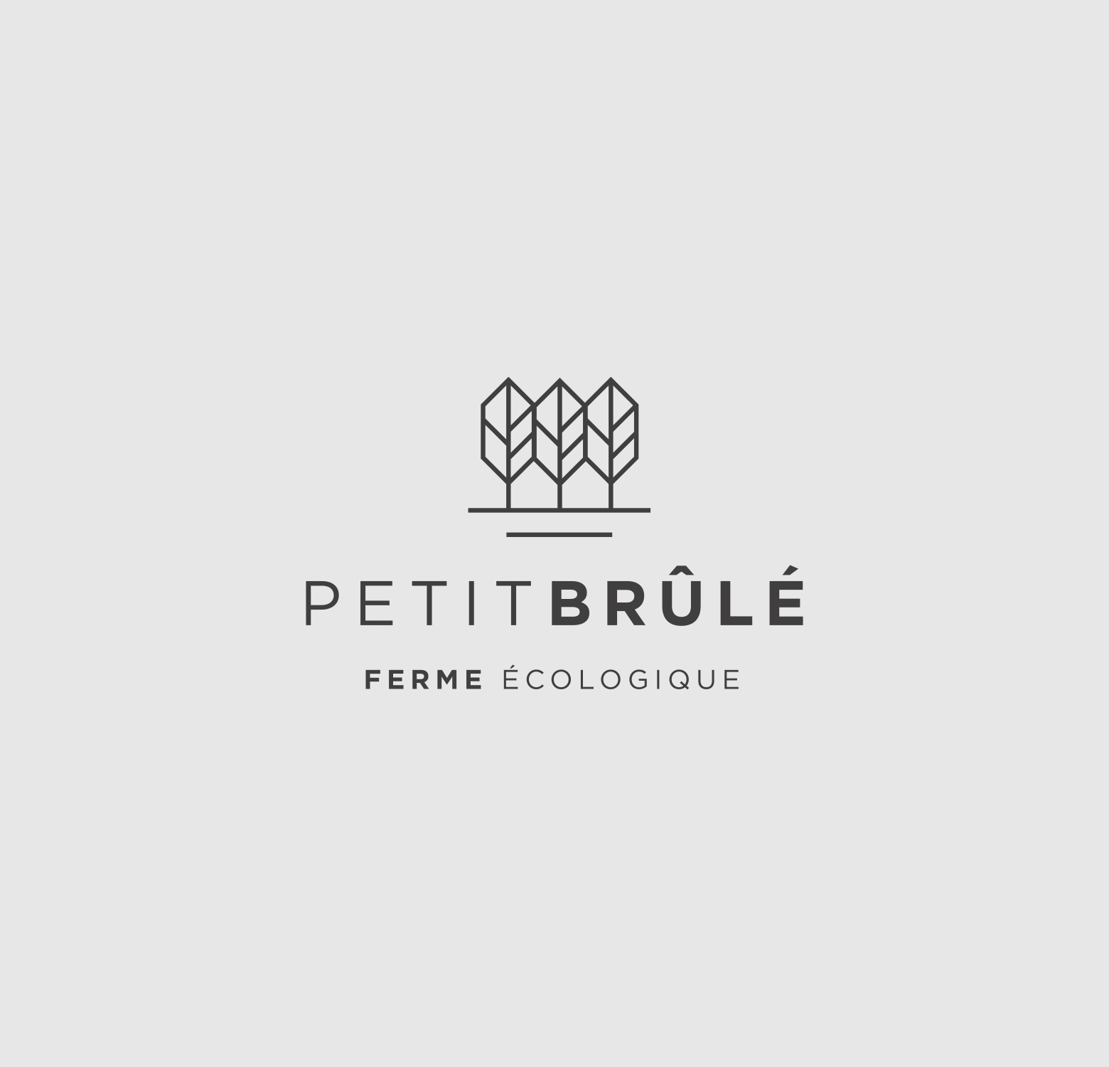 Logo Petit Brûlé