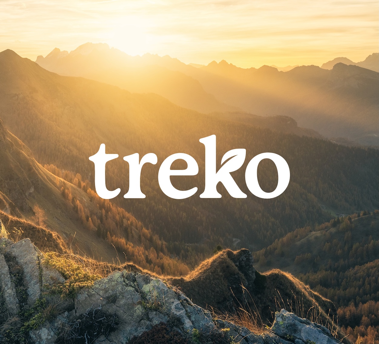 image-de-marque-treko-realisations-2