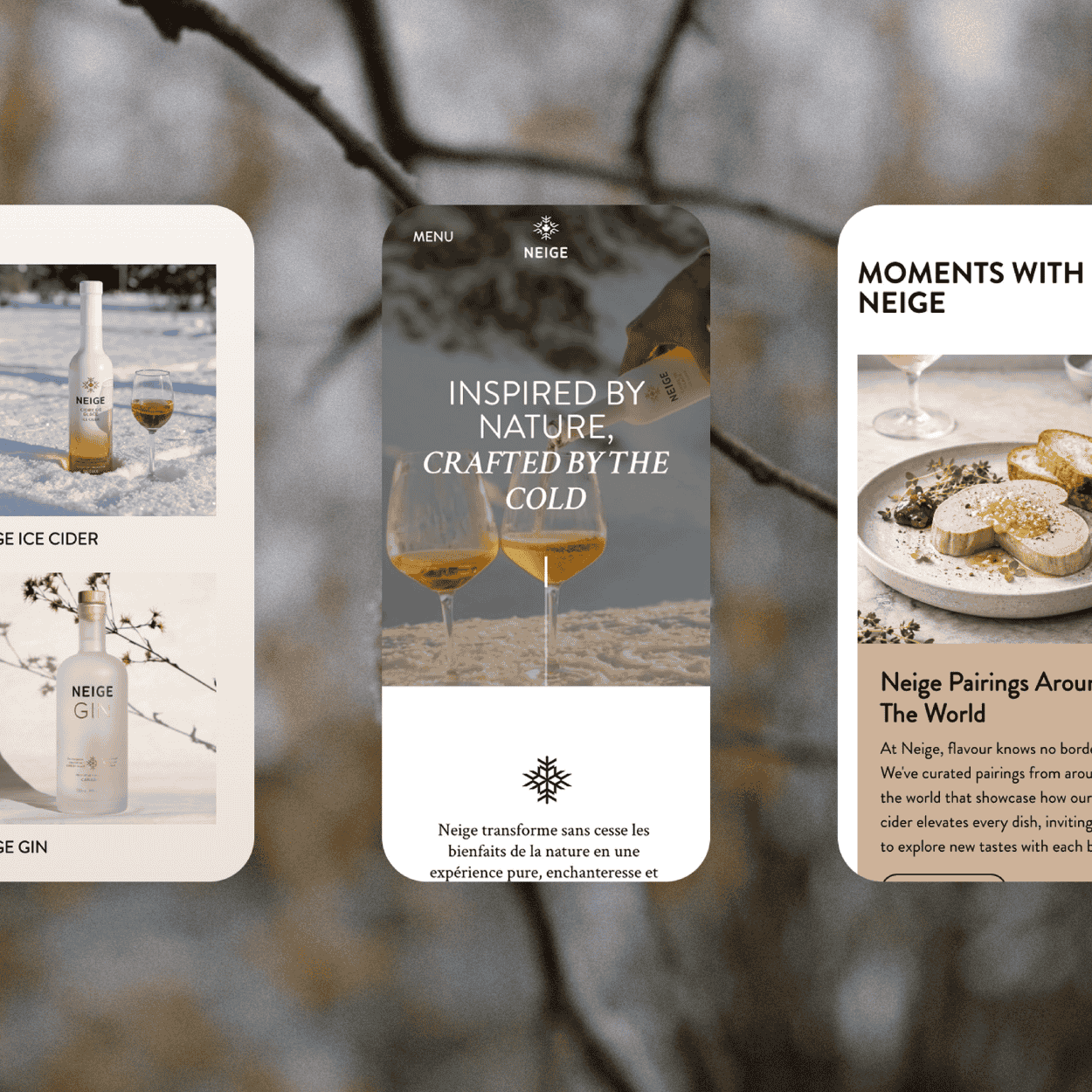 neige-images-carres-article-1250-x-1250-px