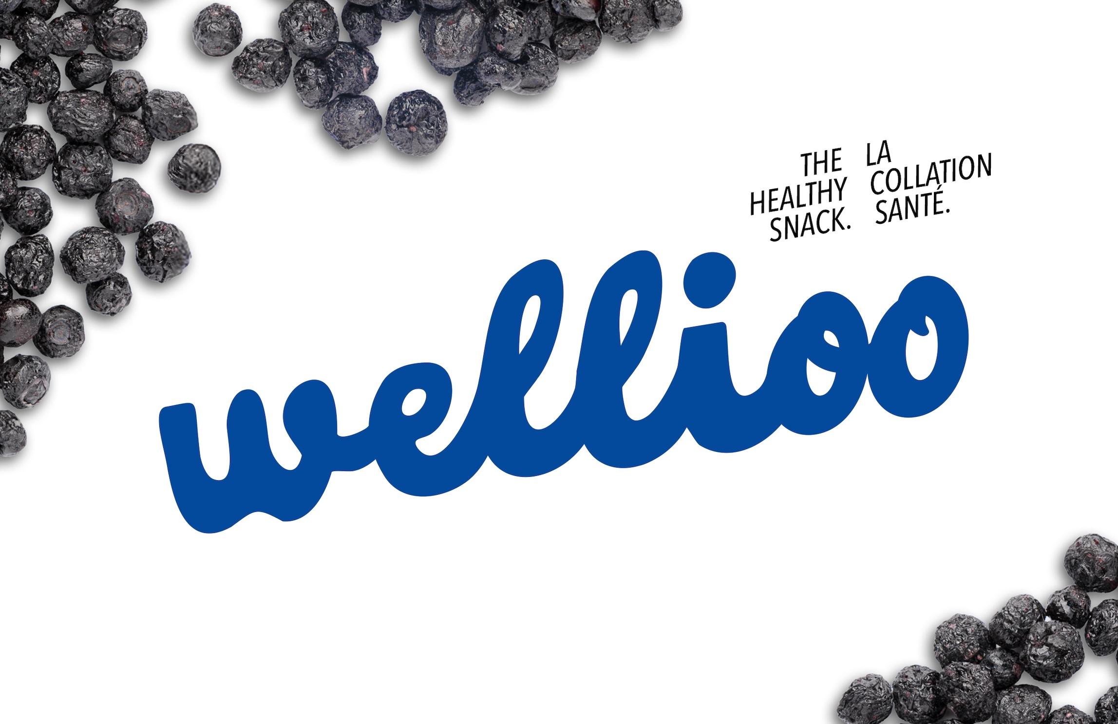 Logo Wellioo Braque